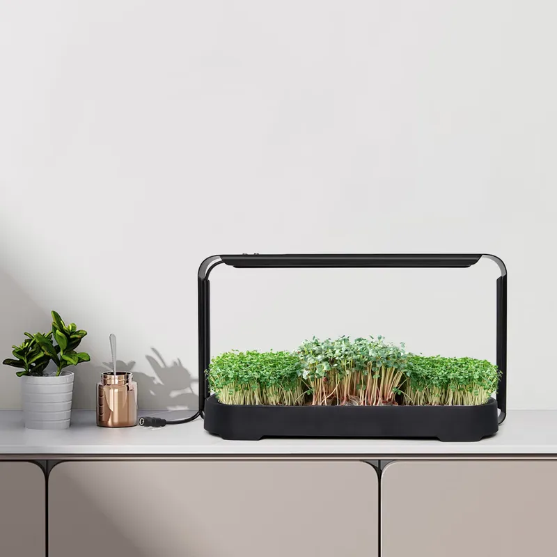 Self Watering Planter - 마이크로그린 자동 급수 수경재배 시스템(재배등 포함)