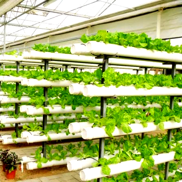 야외 수경 재배 타워 시스템 정원 농업용 무토양 수직  - Hydroponic Tower 리뷰 및 가격