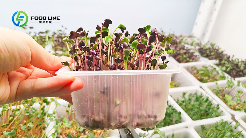 스마트 수경재배 20피트/40피트 해상운송 컨테이너 농 - Hydroponic Tower 리뷰 및 가격