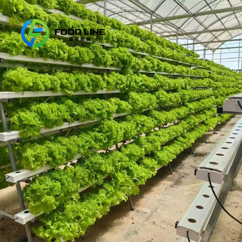 스마트 수경재배 20피트/40피트 해상운송 컨테이너 농 - Hydroponic Tower 리뷰 및 가격