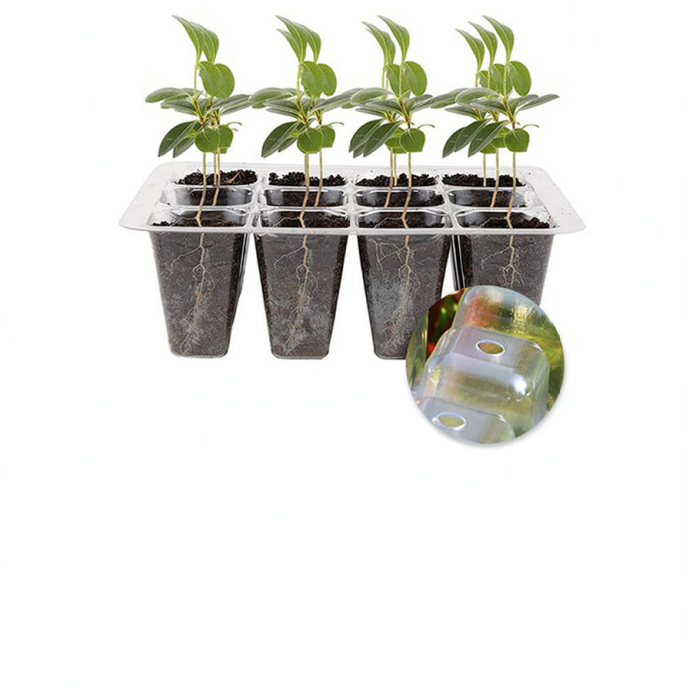 실내 가정용 원예 및 식물 번식을 위한 고성능 돔형 온 - Indoor Garden Kit 리뷰 및 가격