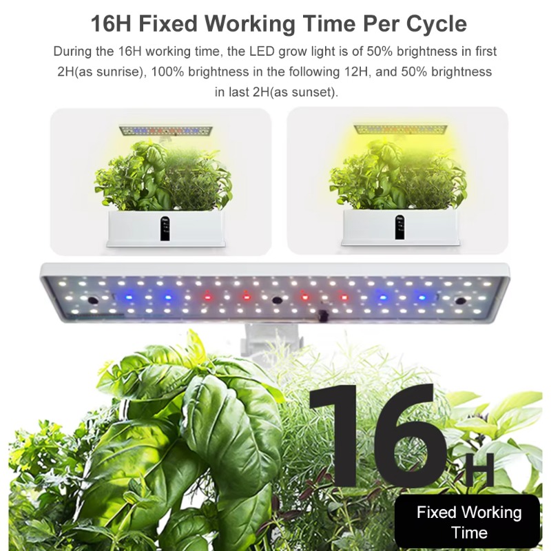 9포드 스마트 수경재배 시스템 실내 정원 키트 자동 타 - Indoor Garden Kit 리뷰 및 가격