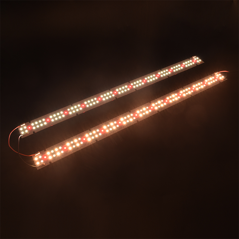 고품질 IP55 등급 COB LED 식물재배등, 풀 스 - Grow Light Led 리뷰 및 가격