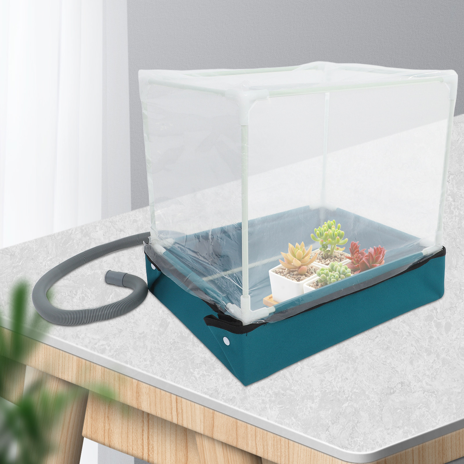 미니 실내 다육 식물 온실 키트 – 좁은 공간에서 식물 - Indoor Garden Kit 리뷰 및 가격